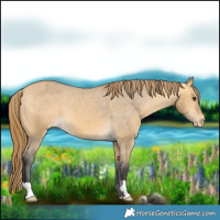 Horse Color:Buckskin Dun Varnish 