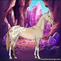 Horse Color:Red Dun Blanket 