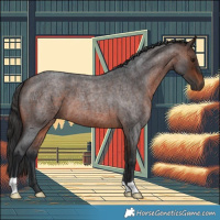 Horse Color:Brown Roan