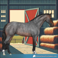 Horse Color:Brown Roan 