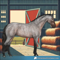 Horse Color:Gray Liver Red Roan 