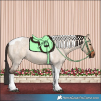 Horse Color:Bay Roan Dun Tobiano 