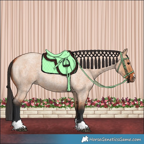 Horse Color:Bay Roan Dun 