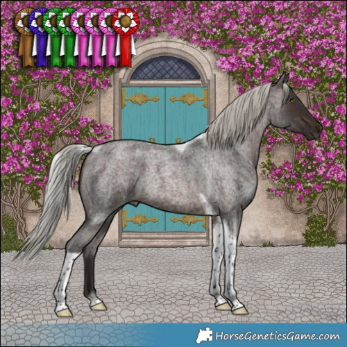 Horse Color:Silver Brown Roan Tobiano 