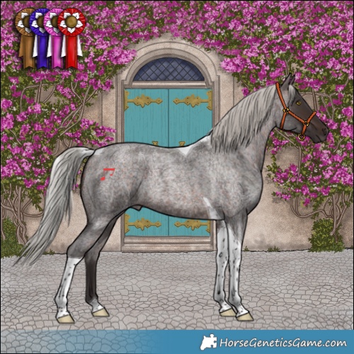 Horse Color:Silver Brown Roan Tobiano 