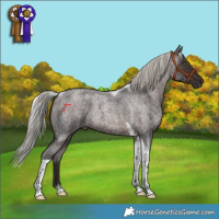 Horse Color:Silver Brown Roan Tobiano