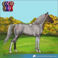 Horse Color:Silver Brown Roan Tobiano 