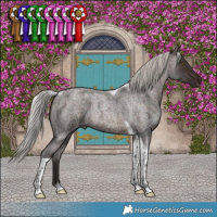 Horse Color:Silver Brown Roan Tobiano 