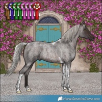 Horse Color:Silver Brown Roan Tobiano 