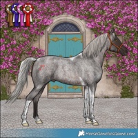 Horse Color:Silver Brown Roan Tobiano