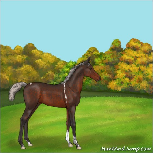 Horse Color:Silver Brown Tobiano 