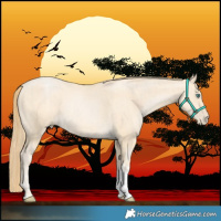 Horse Color:Smoky Black Pearl Tobiano  and Buckskin Pearl 