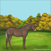 Horse Color:Silver Black 