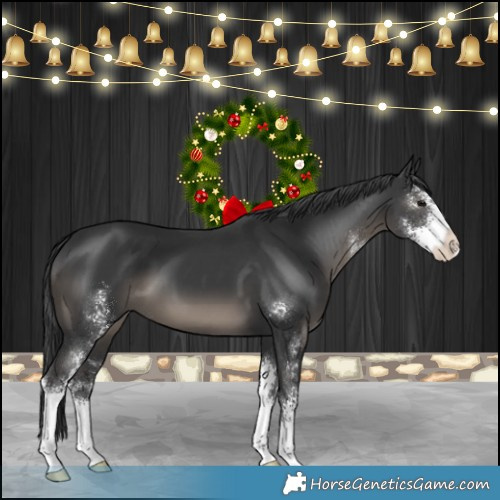 Horse Color:Black Sabino 