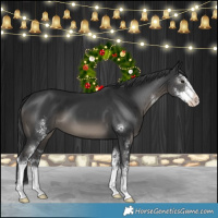 Horse Color:Black Sabino 