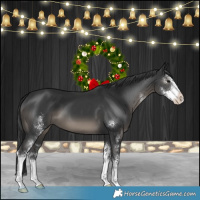 Horse Color:Black Sabino
