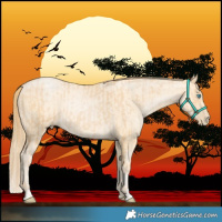Horse Color:Buckskin Pearl  and Buckskin Pearl 