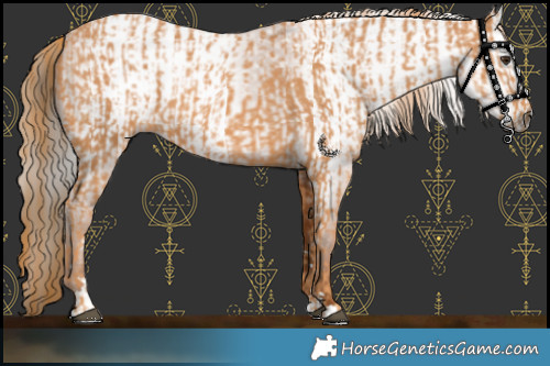 Horse Color:Chestnut  and Gray Chestnut 