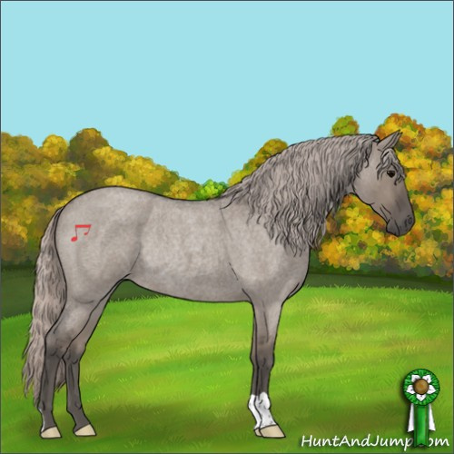 Horse Color:Silver Grullo Roan Rabicano 