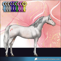 Horse Color:Silver Brown Tobiano Appaloosa Rabicano 