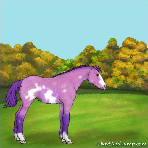 Horse Color:Watercolor Bay Frame 