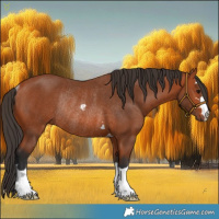 Horse Color:Bay Rabicano 