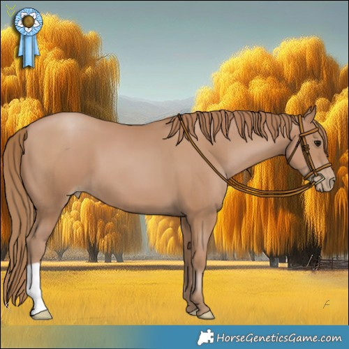 Horse Color:Black Pearl 