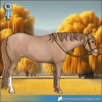 Horse Color:Black Pearl