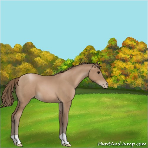 Horse Color:Black Pearl 