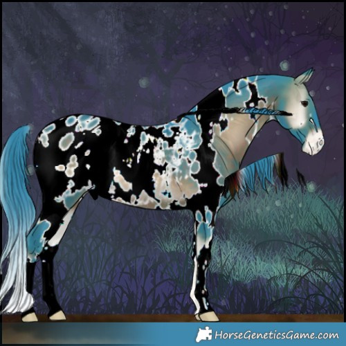 Horse Color:Watercolor White Spotted Brown Onyx Appaloosa 