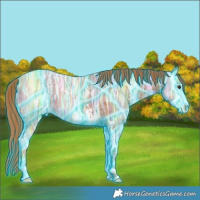 Horse Color:Thunderstruck Chestnut Ice Sabino 