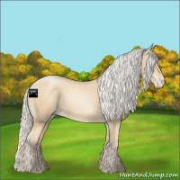 Horse Color:Silver Smoky Black Pearl