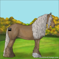 Horse Color:Silver Smoky Black 