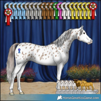Horse Color:Classic Champagne Splash Appaloosa 