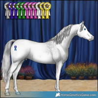 Horse Color:Gray Blue Roan Splash