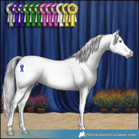 Horse Color:Gray Blue Roan Splash 