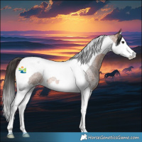 Horse Color:Bay Roan Splash Tobiano Rabicano 