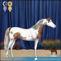 Horse Color:Chestnut Splash Tobiano Rabicano