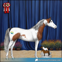 Horse Color:Bay Splash Tobiano Rabicano
