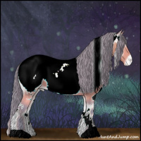 Horse Color:Watercolor White Spotted Buckskin Onyx Appaloosa 