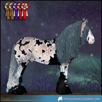 Horse Color:Watercolor Bay Onyx Sabino Appaloosa