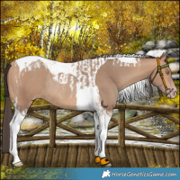 Horse Color:Amber Champagne Tobiano Rabicano  and Amber Champagne Tobiano Rabicano 