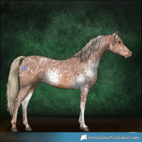 Horse Color:White Spotted Chestnut Ice Mushroom 