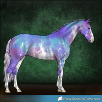 Horse Color:Watercolor Silver Brown Sabino Rabicano