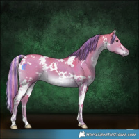 Horse Color:Painted Watercolor White Spotted Liver Red Dun 