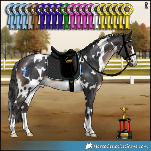 Horse Color:White Spotted Brown 