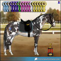 Horse Color:White Spotted Brown