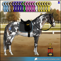 Horse Color:White Spotted Brown 