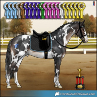 Horse Color:White Spotted Brown 