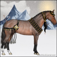Horse Color:Brown Roan Rabicano 